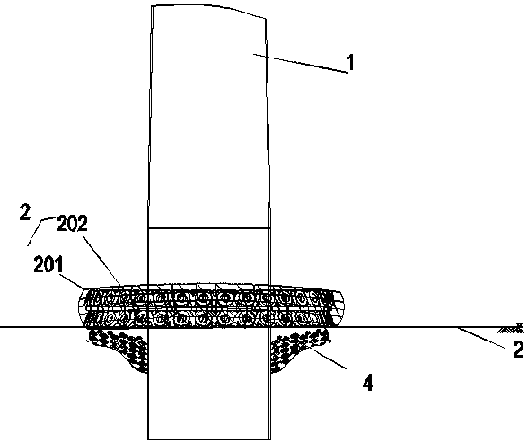 Cage type anti-scouring structure and construction method