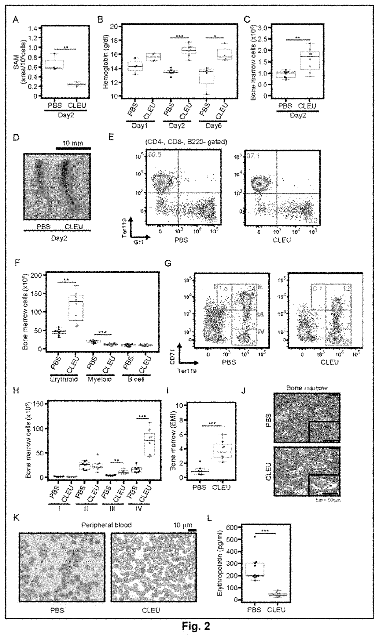 Hematopoiesis-enhancing agent