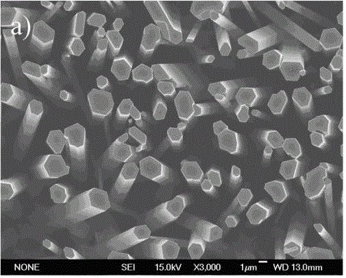 Method for preparing double-layer zinc oxide nanowire array by chemical vapor deposition