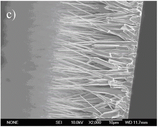 Method for preparing double-layer zinc oxide nanowire array by chemical vapor deposition