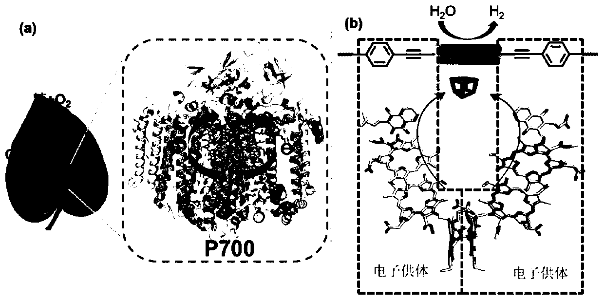 Covalent organic framework material of bionic photosystem I and preparation and application of covalent organic framework material