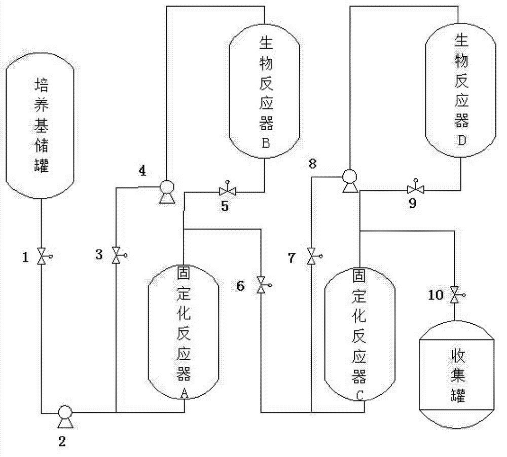 Apparatus and method for butanol production through dual bacteria immobilization anaerobic fermentation