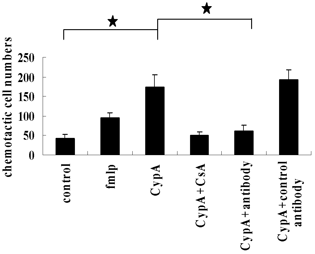 VHH (variable domain of heavy chain of heavy-chain antibody) antibody gene derived from anti-CyPA (CyclophilinA) animal of family Camelidae, encoded polypeptide, and application thereof
