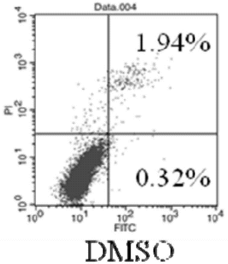 Application of grincamycin B in preparing anti-glioma drugs