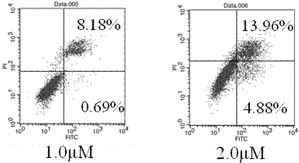 Application of grincamycin B in preparing anti-glioma drugs