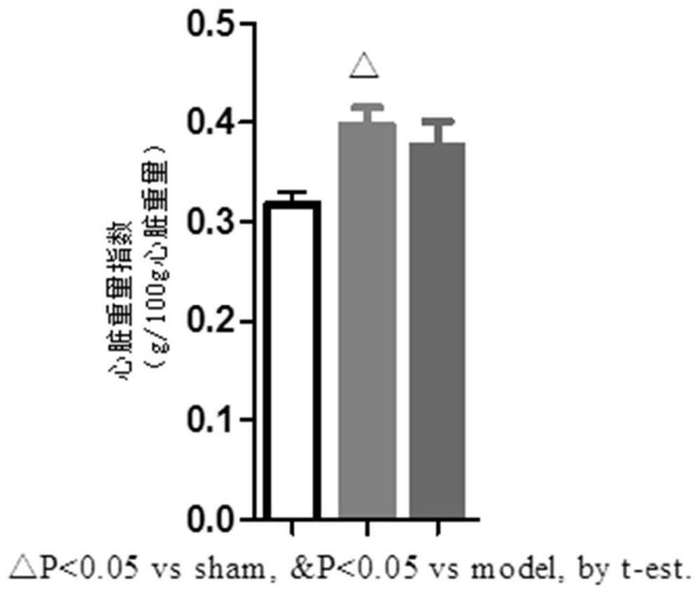 Application of ester-containing aromatic propionamide compounds and their metabolites in the preparation of drugs for the treatment of heart failure