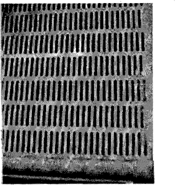 Method for improving seed production efficiency of hybrid rice through large-scale improvement of restorer seeds