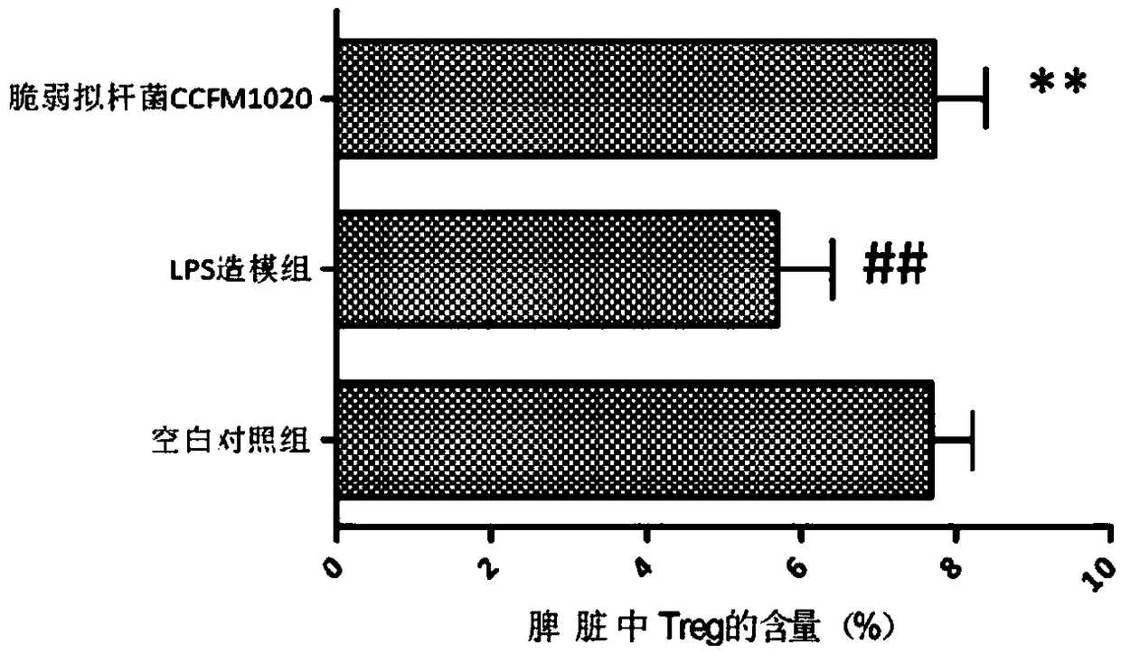 Bacteroides fragilis capable of relieving endotoxin infection as well as application thereof