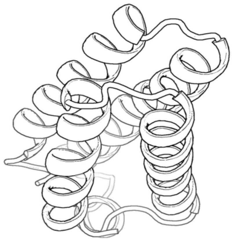 A Method for Protein Structure Prediction Based on Assisted Evaluation of Residue Contact Information