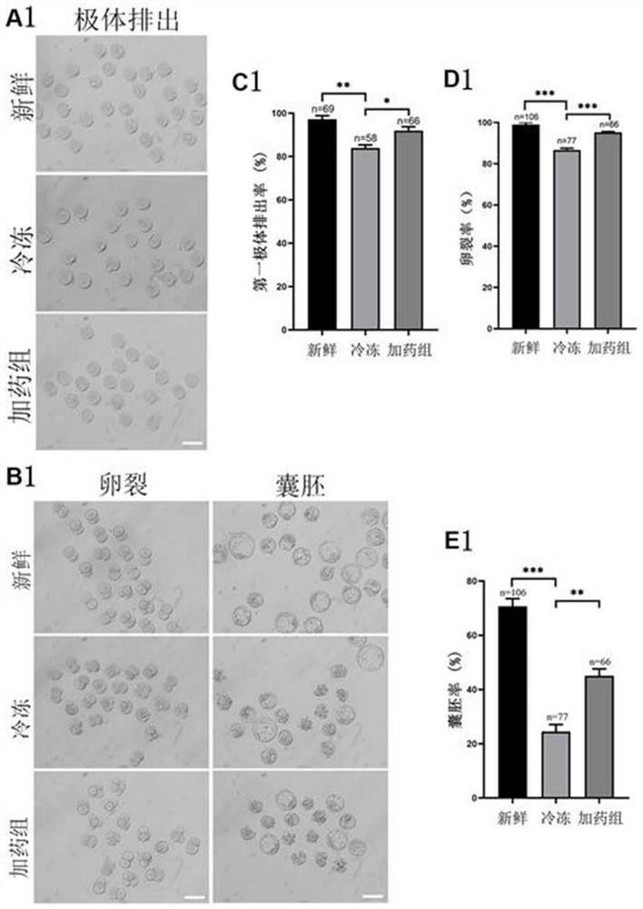 Culture solution for improving in-vitro culture quality of frozen oocytes and application of culture solution