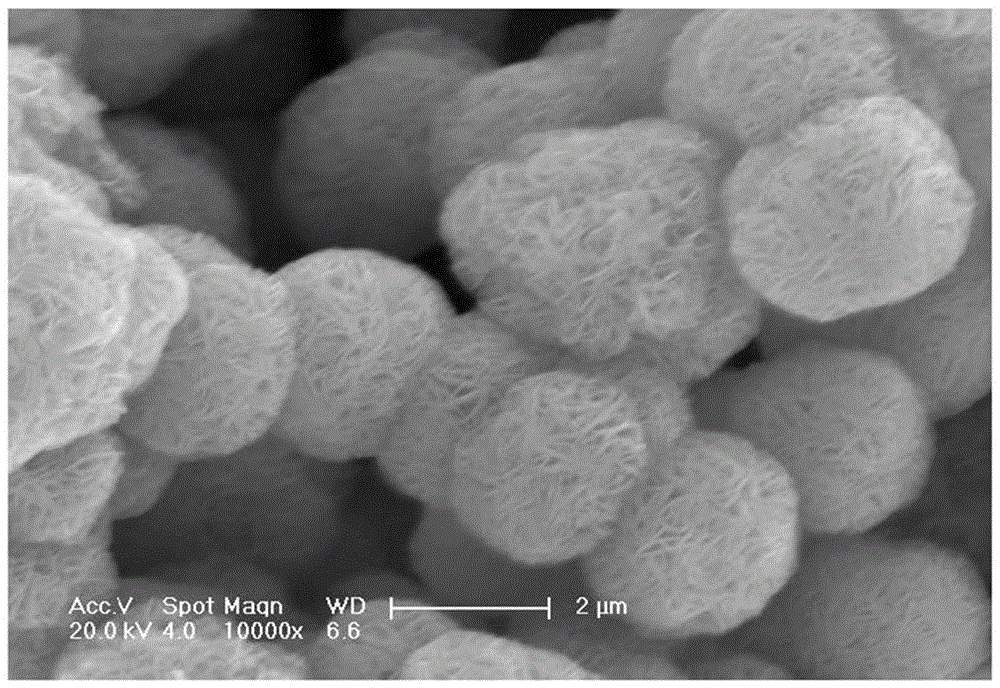 Negative electrode active material, preparation method thereof, and lithium ion battery