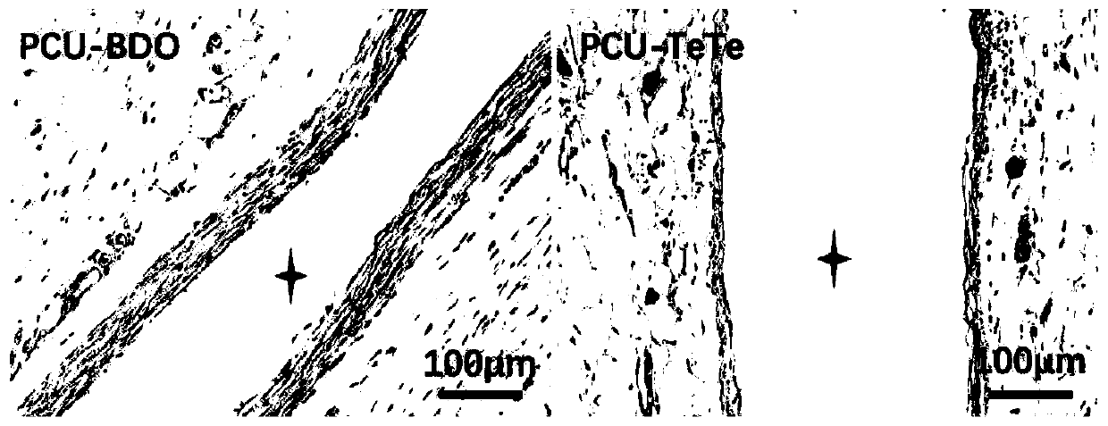 Ditellurium-containing degradable polycarbonate polyurethane and preparation method thereof