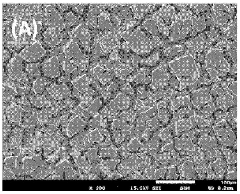 Coating composition of shape-stable electrode, shape-stable electrode, preparation method and application