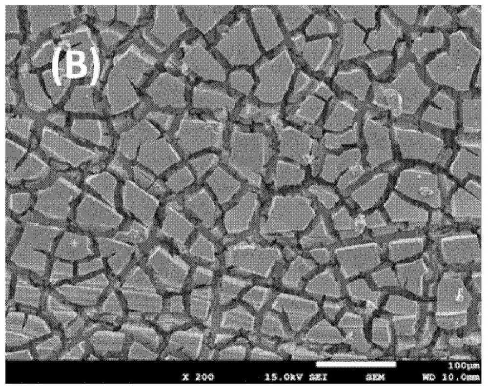 Coating composition of shape-stable electrode, shape-stable electrode, preparation method and application