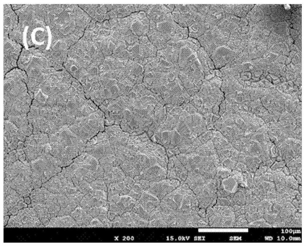 Coating composition of shape-stable electrode, shape-stable electrode, preparation method and application