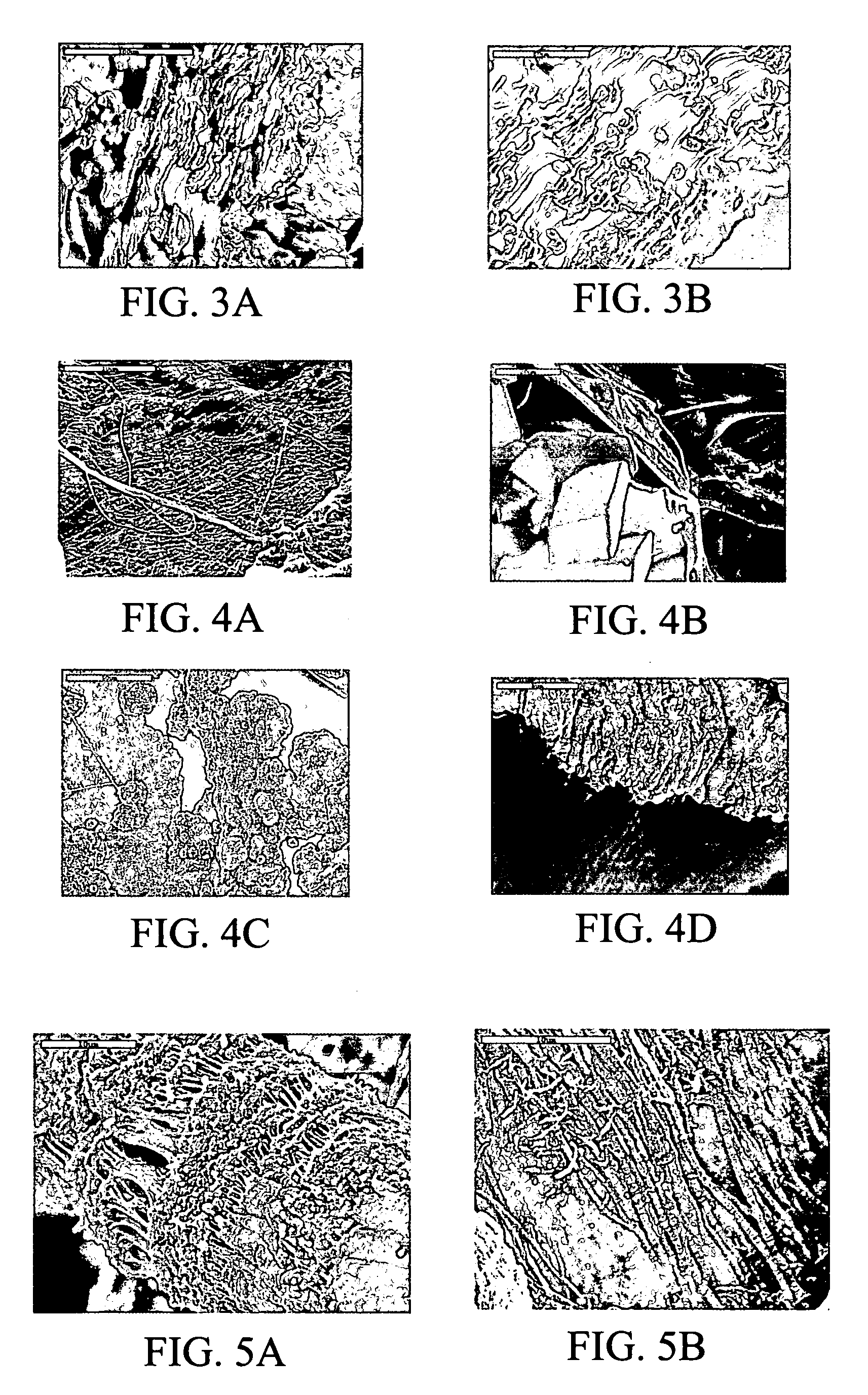 Biomimetic organic/inorganic composites, processes for their production, and methods of use
