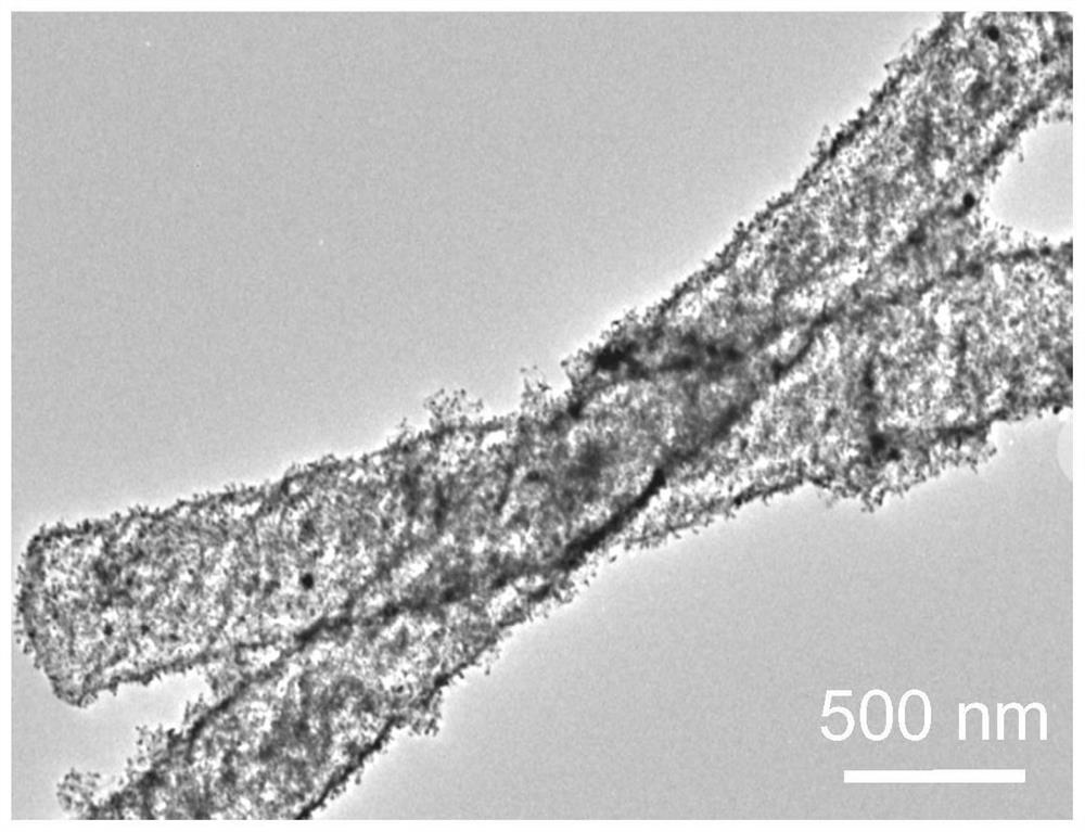 An embedded porous fe-n  <sub>x</sub> Preparation method of @pd-nc nanorods and its prepared nanorods and applications