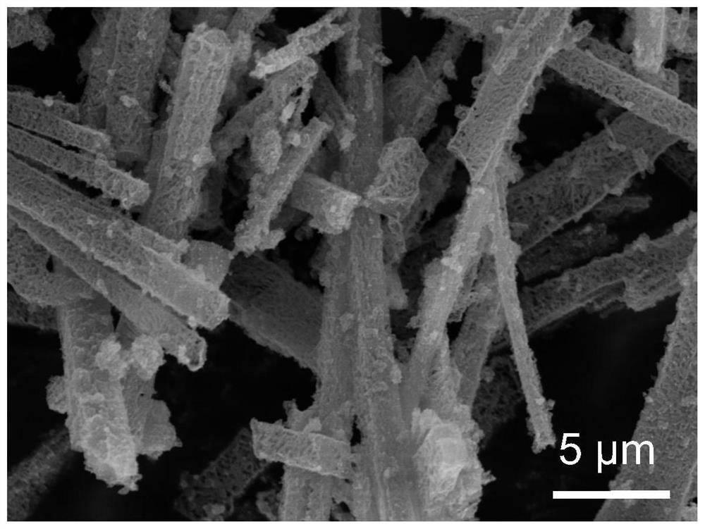 An embedded porous fe-n  <sub>x</sub> Preparation method of @pd-nc nanorods and its prepared nanorods and applications