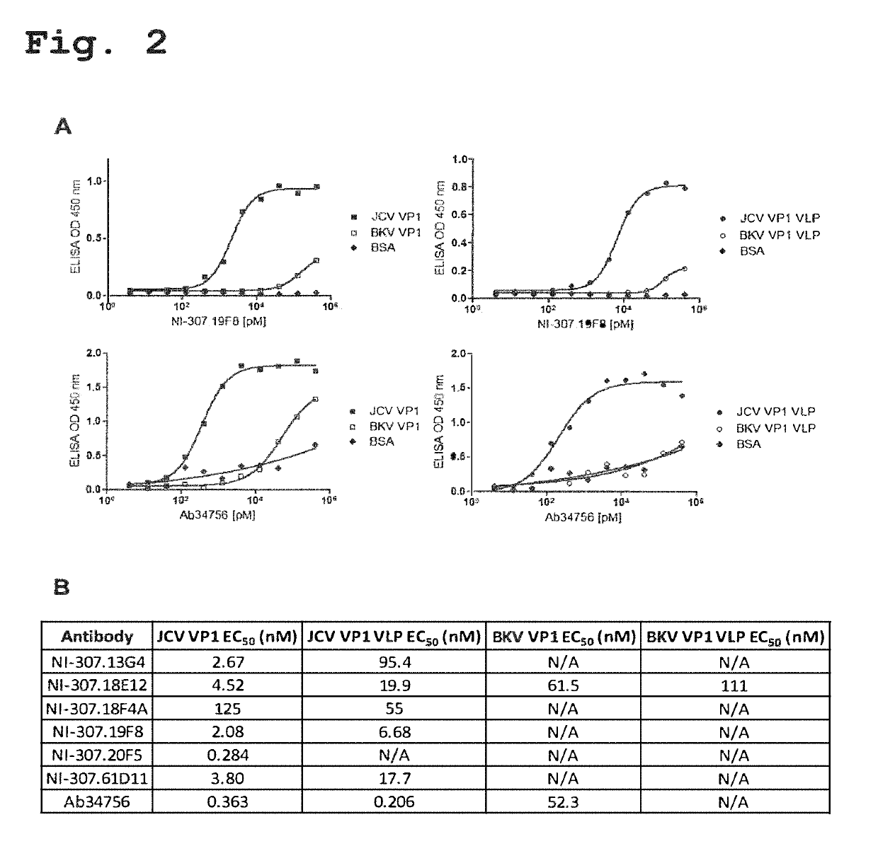 Recombinant human antibodies for therapy and prevention of polyomavirus-related diseases