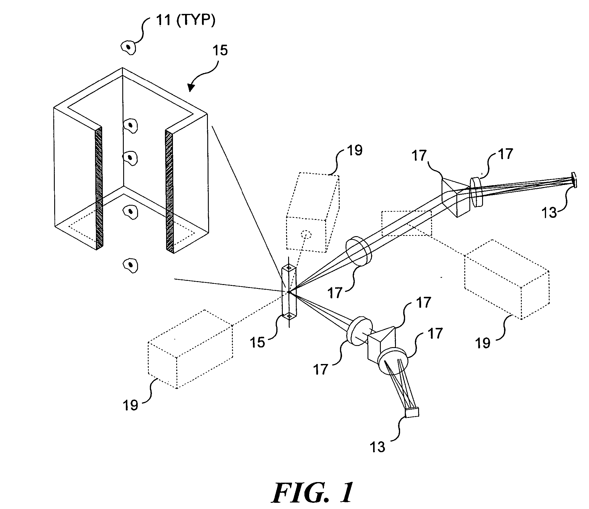 Method and apparatus for reading reporter labeled beads