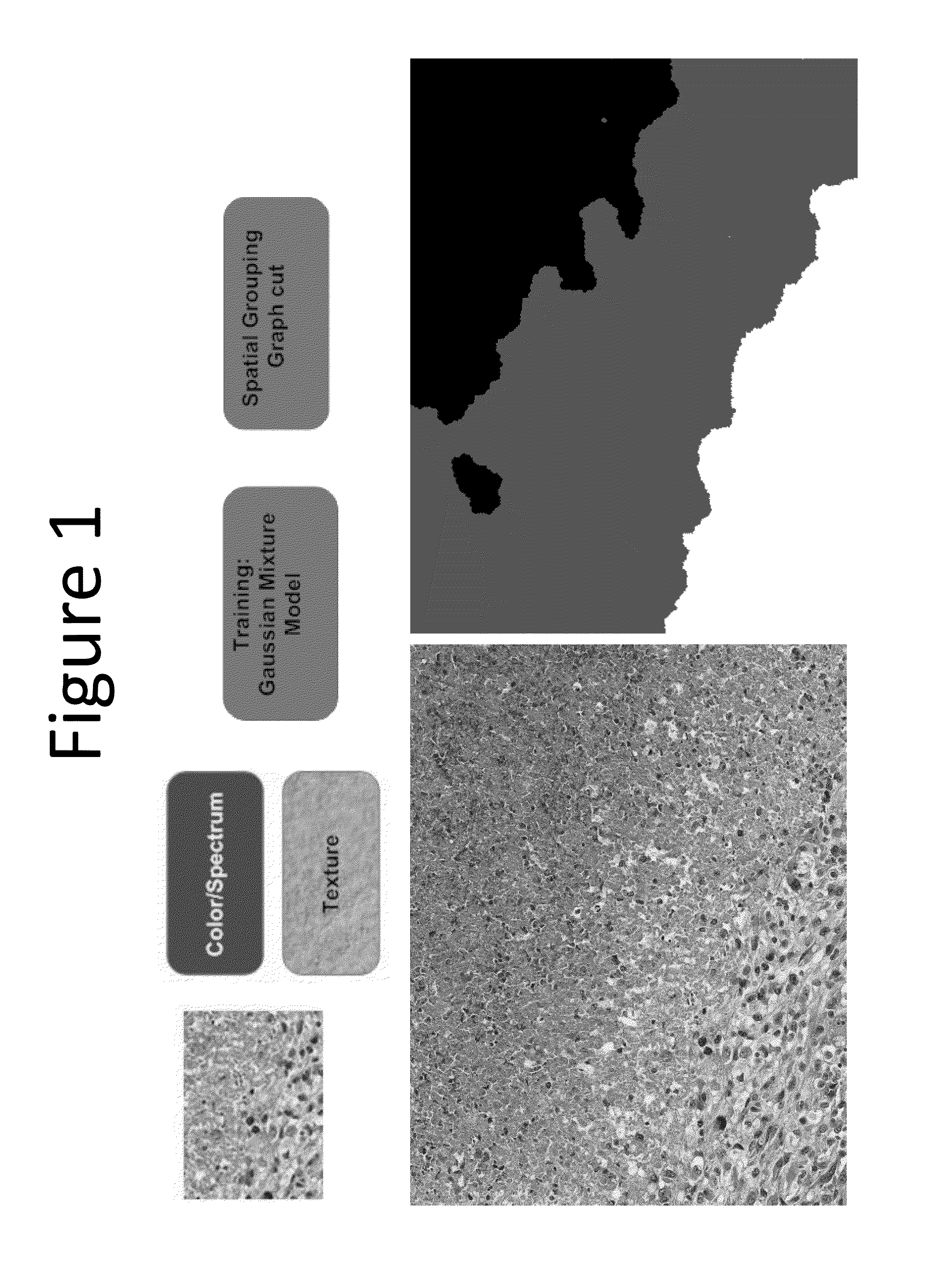 Methods for delineating cellular regions and classifying regions of histopathology and microanatomy