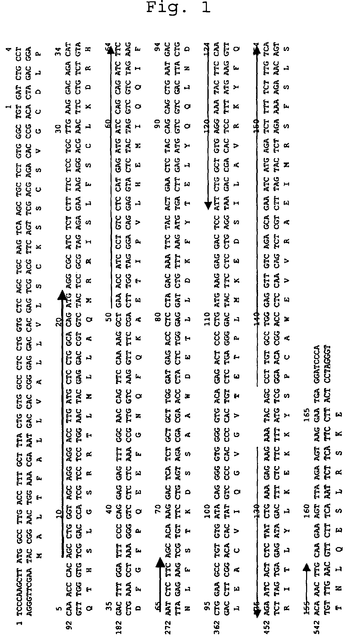 Glycosylated human interferon alpha isoform