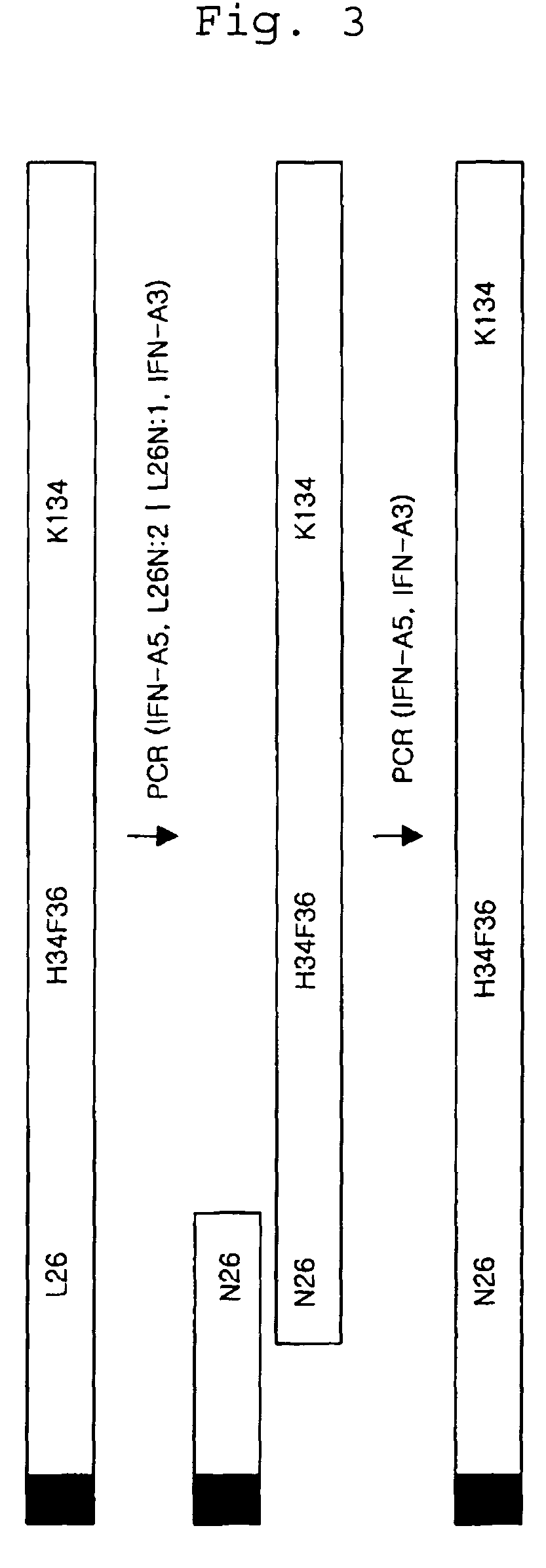 Glycosylated human interferon alpha isoform