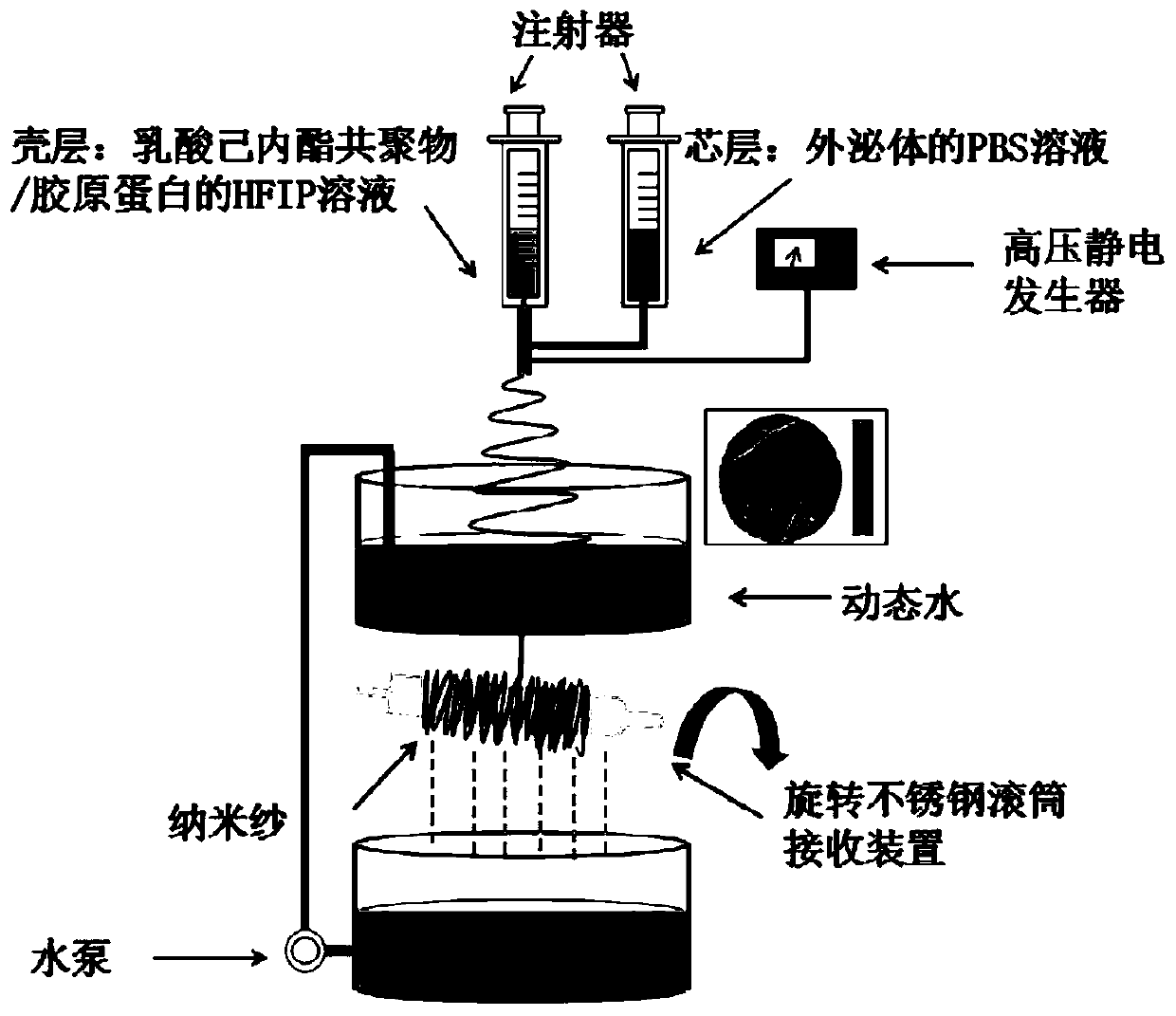 Microballons/nanometer yarn composite bracket loaded with exosomes and growth factors and preparation method of microballons/nanometer yarn composite bracket