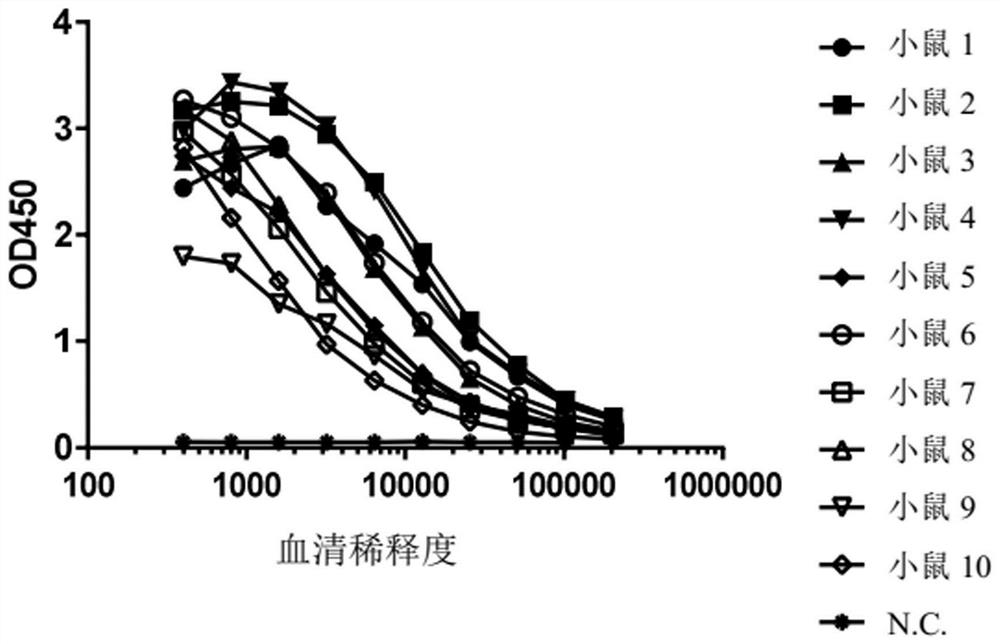 Liquid compositions comprising monoclonal antibodies against thymic stromal lymphopoietin