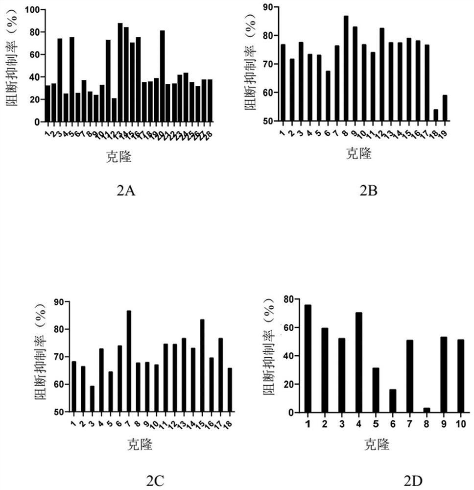 Liquid compositions comprising monoclonal antibodies against thymic stromal lymphopoietin