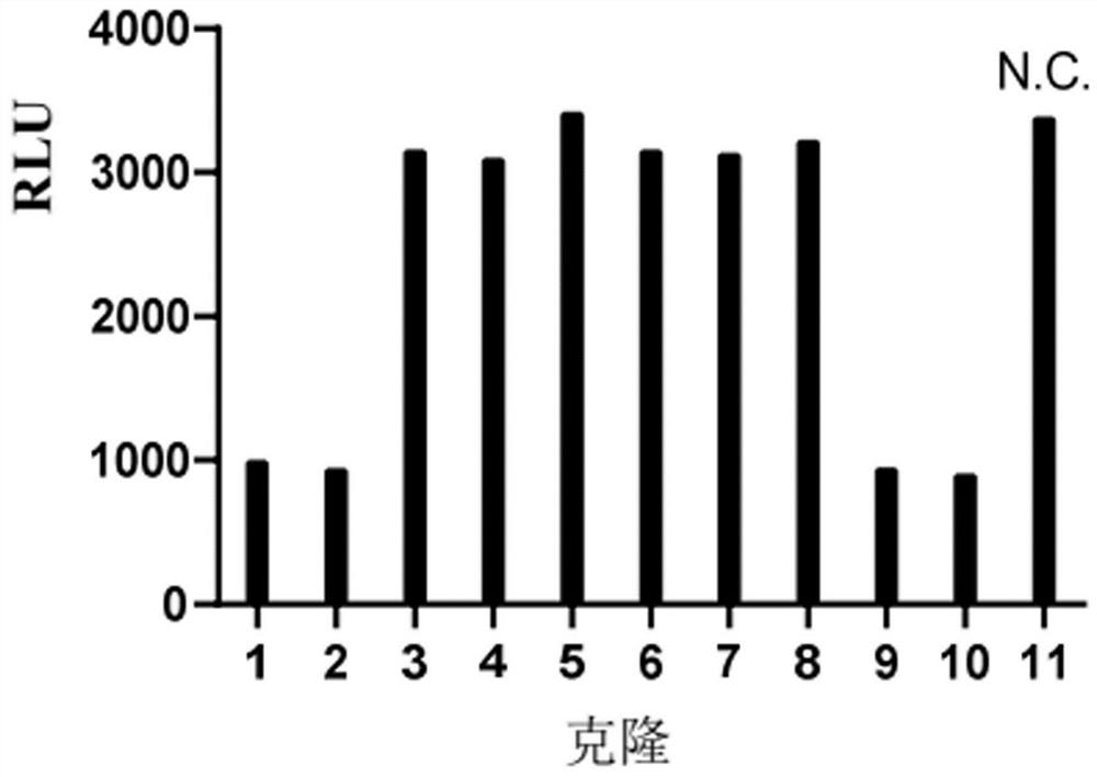 Liquid compositions comprising monoclonal antibodies against thymic stromal lymphopoietin