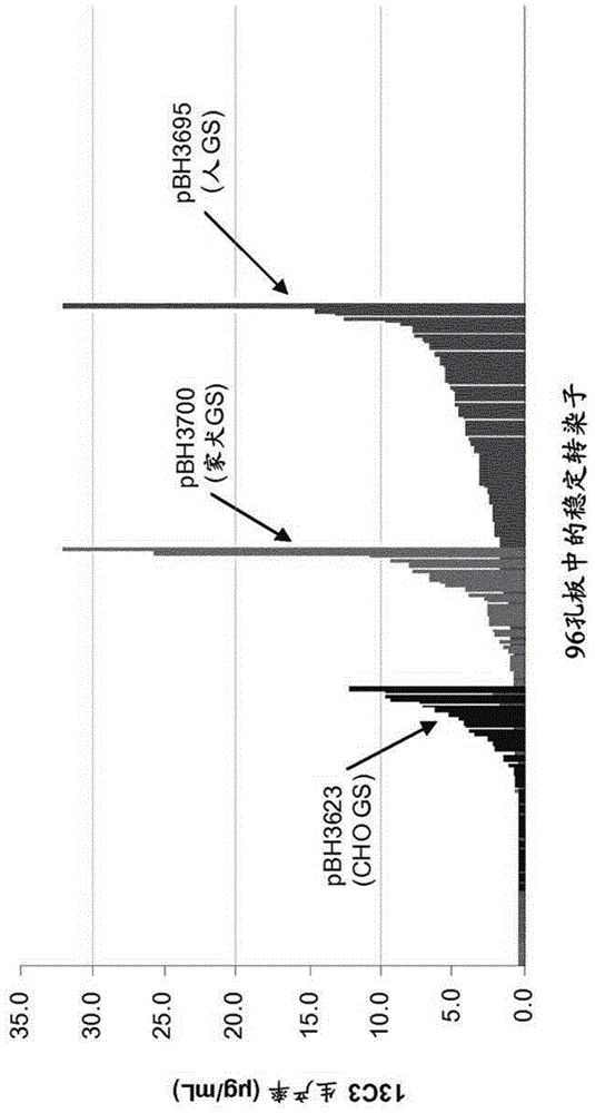 Cho expression system