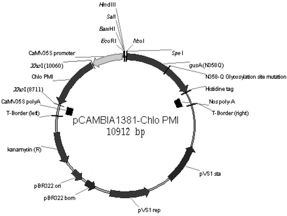 Phosphomannose isomerase from chlorella variabilis and application thereof