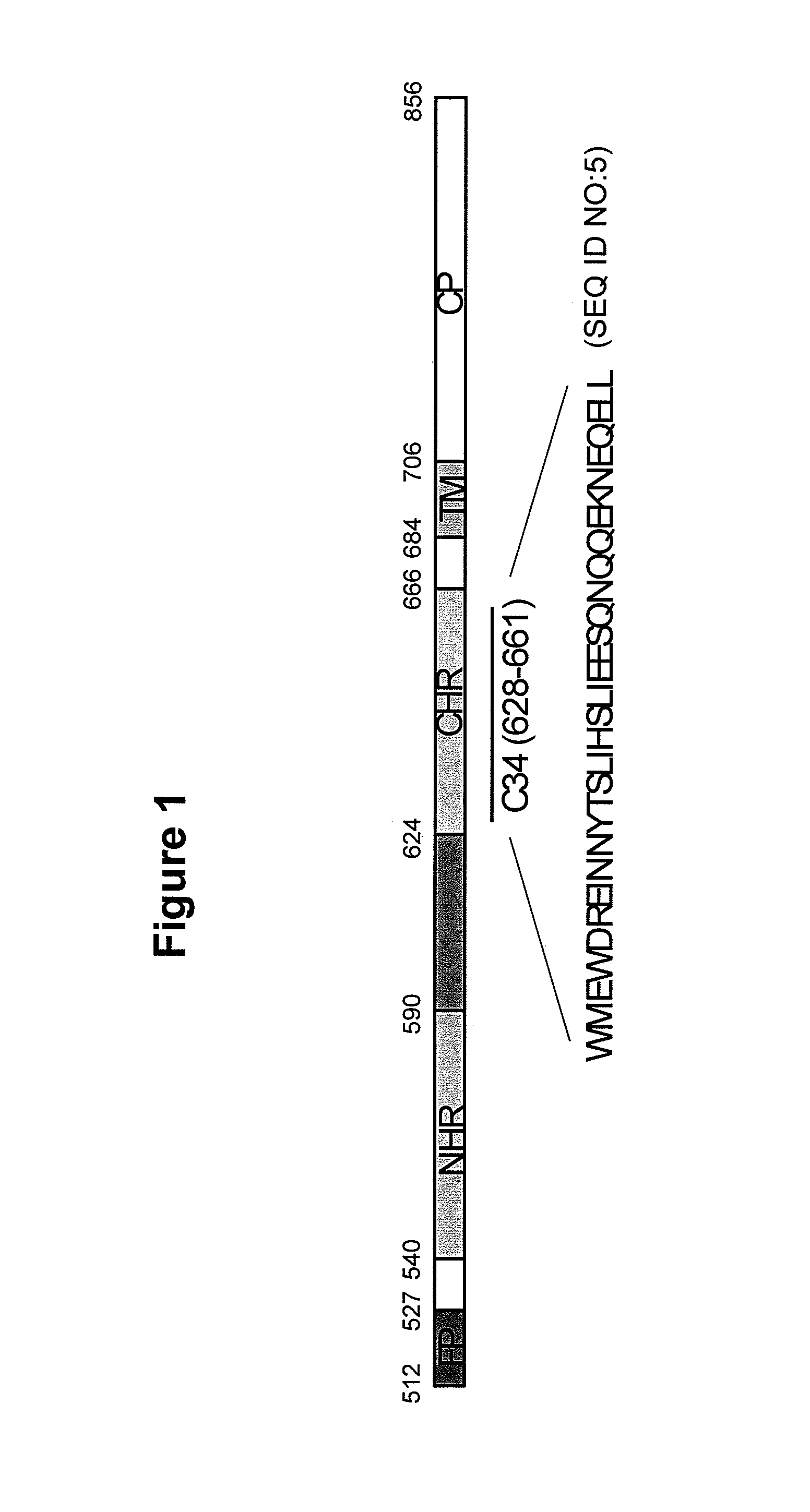 Methods and compositions for inhibiting viral entry into cells