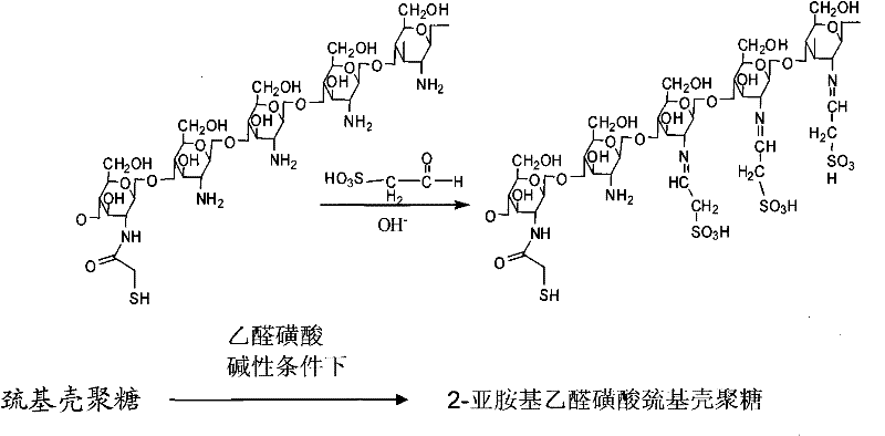 Sulfonation modification process of thio chitosan