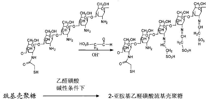 Sulfonation modification process of thio chitosan