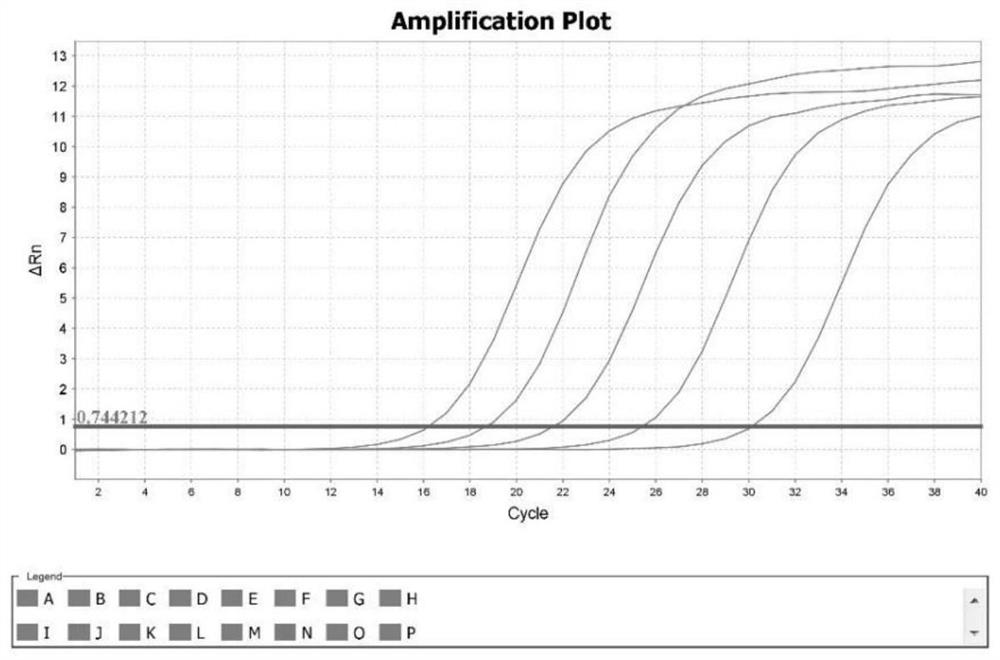 Aminoglycoside antibiotic resistance gene detection primer and kit