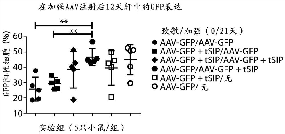 Methods and compositions for attenuating gene expression to modulate anti-viral transfer vector immune response