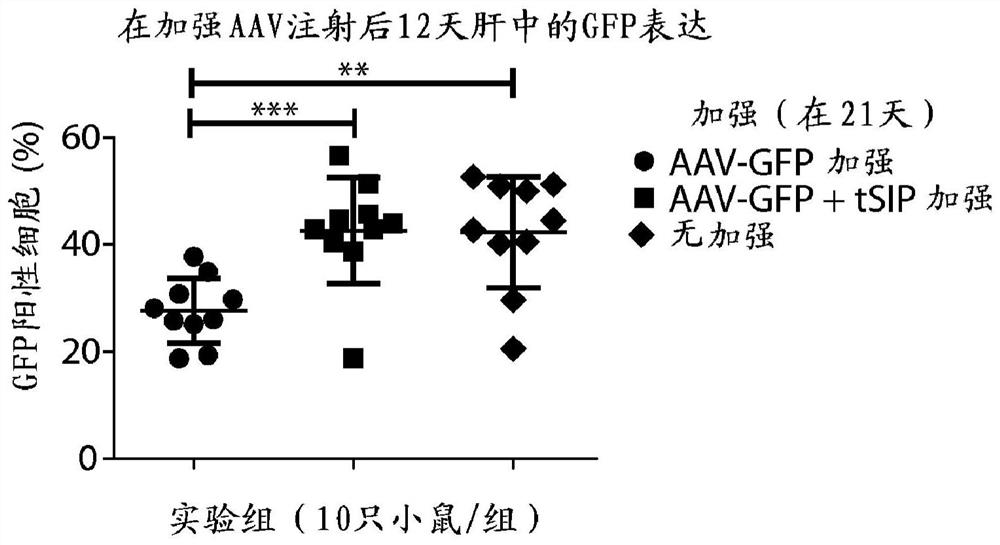 Methods and compositions for attenuating gene expression to modulate anti-viral transfer vector immune response