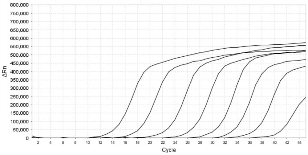 Primer probe composition and application thereof in preparation of parainfluenza virus typing detection kit