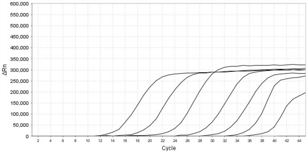 Primer probe composition and application thereof in preparation of parainfluenza virus typing detection kit