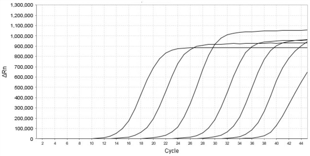 Primer probe composition and application thereof in preparation of parainfluenza virus typing detection kit