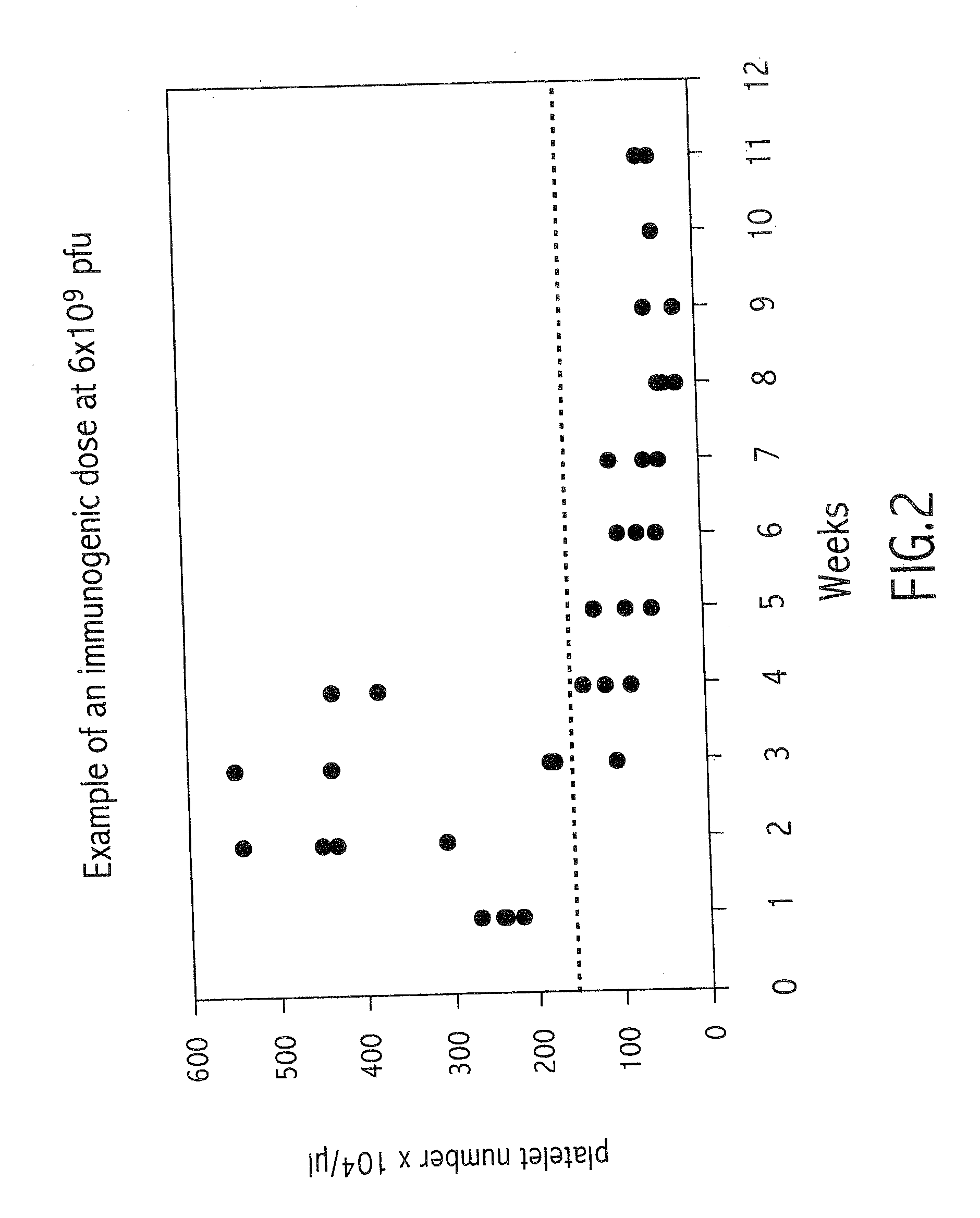 Method of modulating neutralizing antibodies formation in mammals, and uses thereof in gene therapy, animal trangenesis and in functional inactivation of endogenous proteins