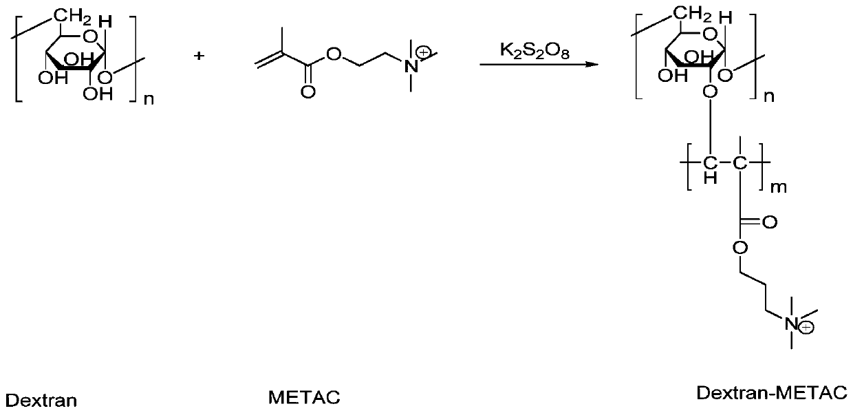 Cationic dextran-based polymer and preparation thereof, and applications as flocculant