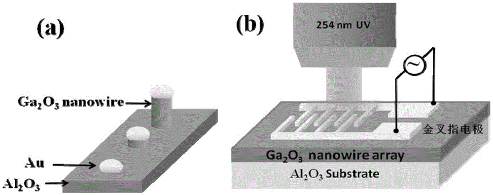 Ultraviolet detector based on gallium oxide nanowire array and preparation method thereof