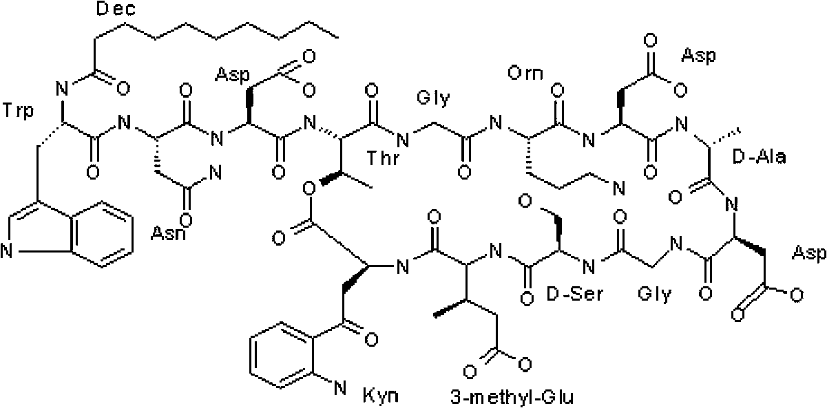 Streptomyces roseospora and method for producing daptomycin using combined precursors