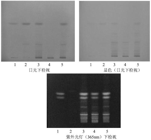 A kind of detection method of finished product of Xianling Gubao Capsule