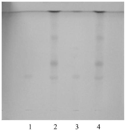 A kind of detection method of finished product of Xianling Gubao Capsule