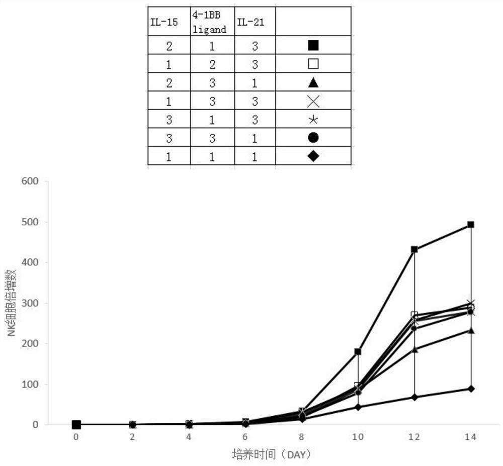 Method and application of in vitro expansion of NK cells coupled with magnetic beads and various stimulatory proteins