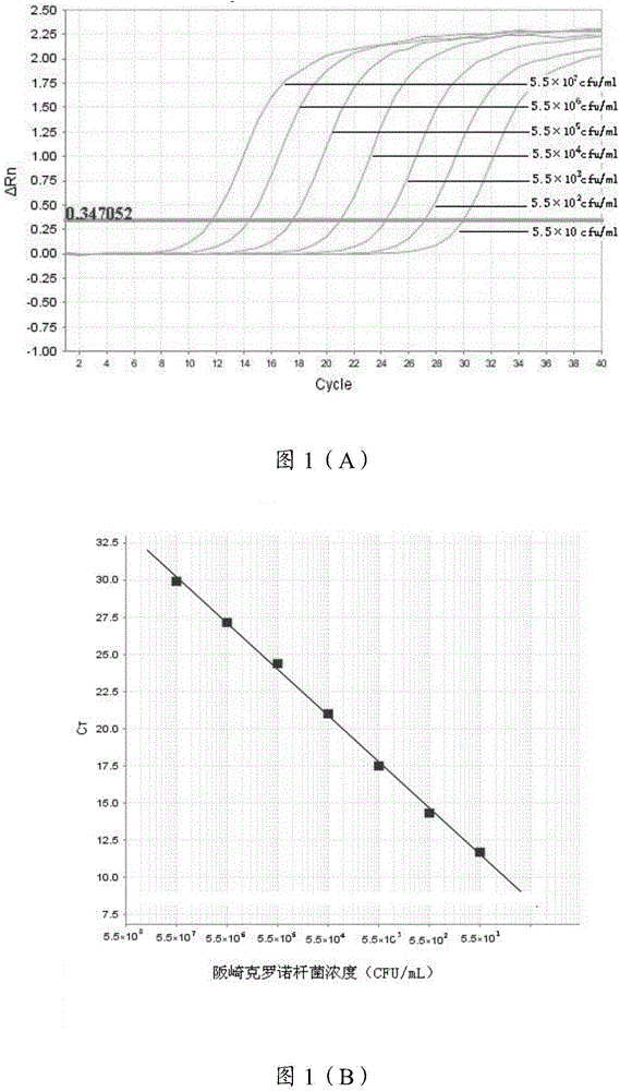 Kit and application thereof as well as detection method